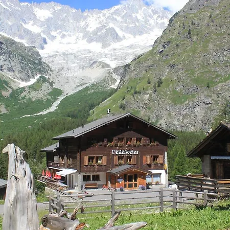 Edelweiss Hotel 3*